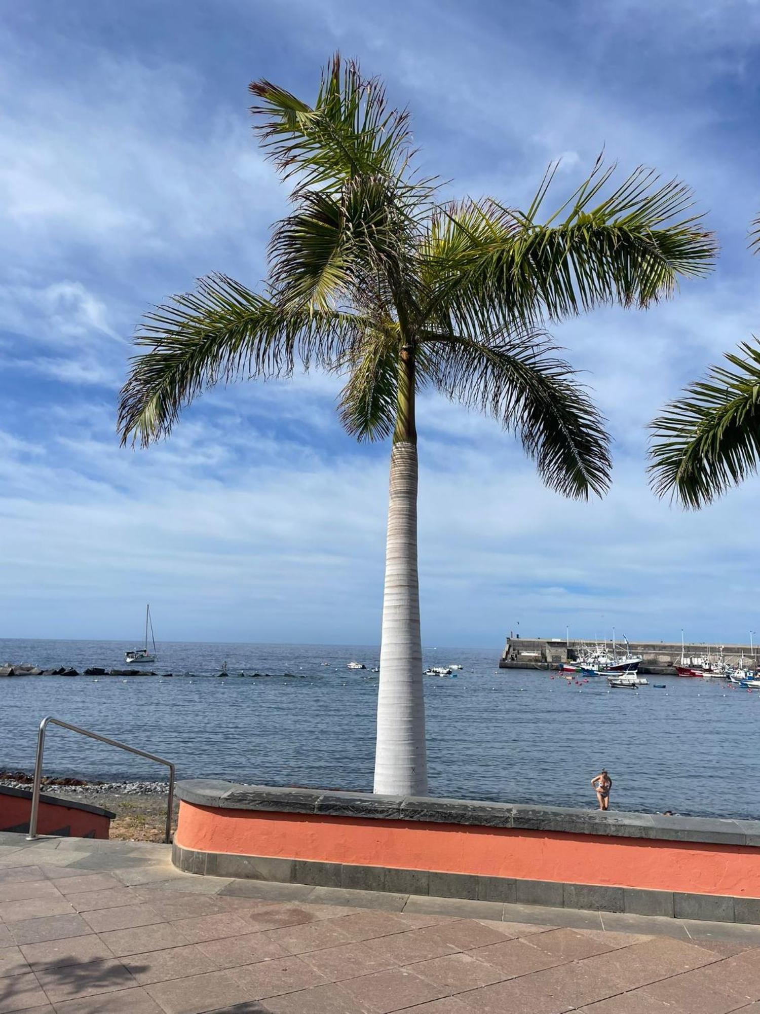 Seaside Paradise - 2 Bedroom Apartment With Ocean Views & Air Conditioning In Playa San Juan Exterior foto